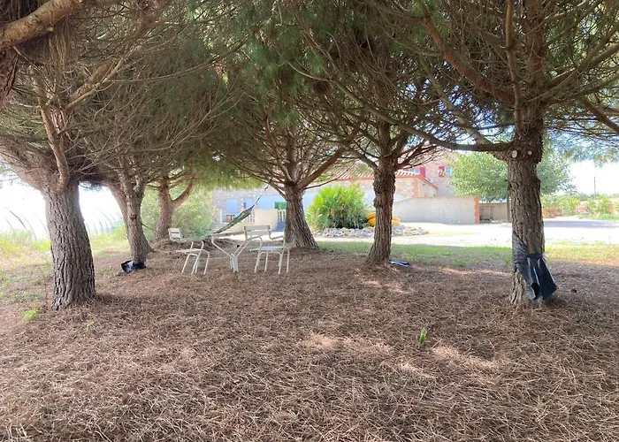 度假居 Mas Catalan